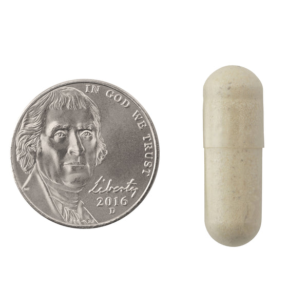Natrol Easy-C Immune Health Capsules - 500mg Size Comparison