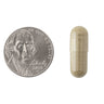 Natrol Ginkgo Biloba Brain Health Capsules - 120mg Size Comparison