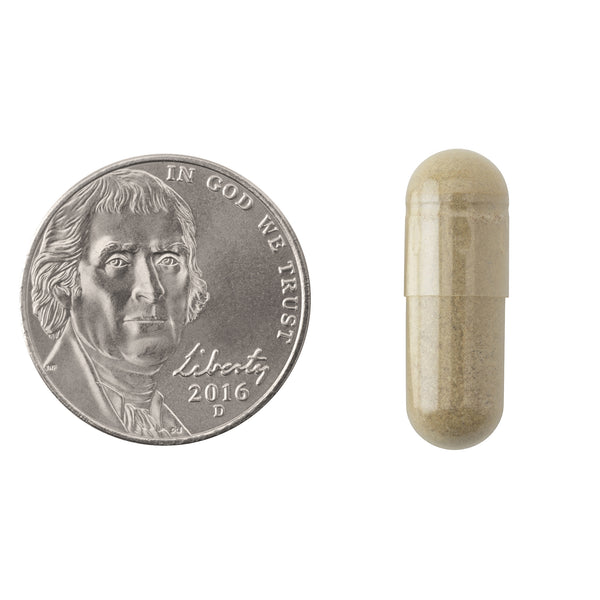 Natrol Ginkgo Biloba Brain Health Capsules - 120mg Size Comparison