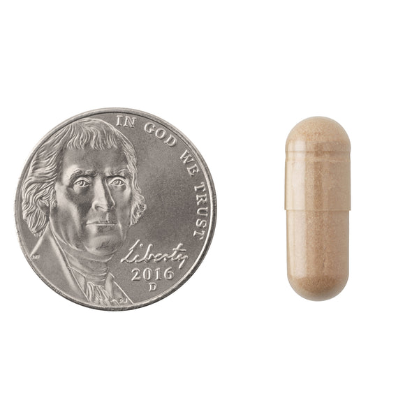 Natrol Pycnogenol Antioxidant Protection Capsules Size Comparison